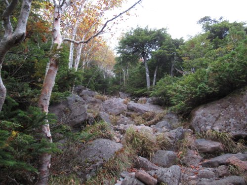登山道